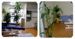 健康快復センター江南の室内風景。愛知県の健康回復センターの室内